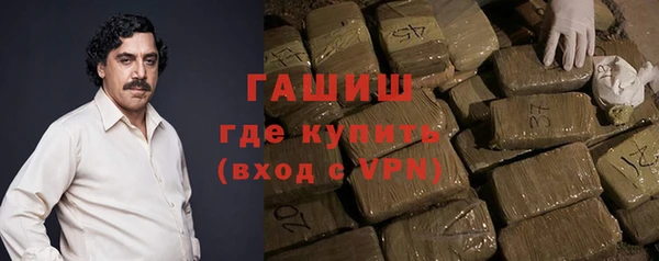 индика Медвежьегорск
