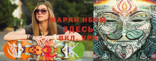 шишки Арсеньев