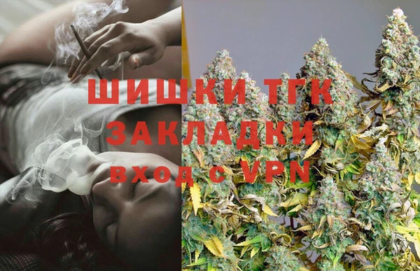 гашик Балахна
