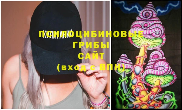 шишки Арсеньев