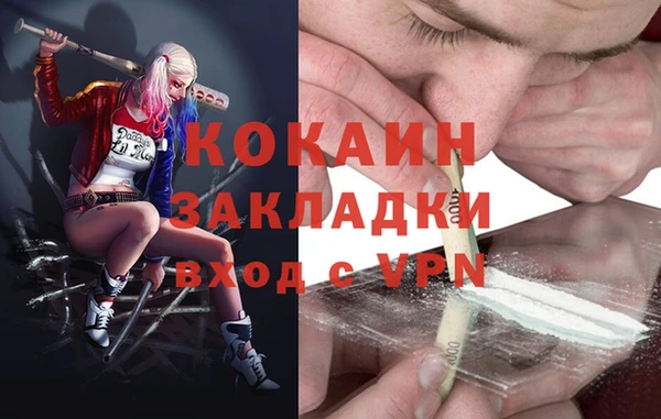 шишки Арсеньев