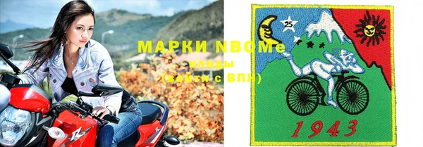 индика Медвежьегорск