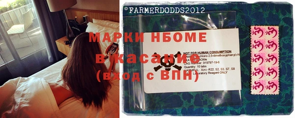 шишки Арсеньев