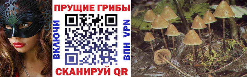 Псилоцибиновые грибы Magic Shrooms Купить Шебекино